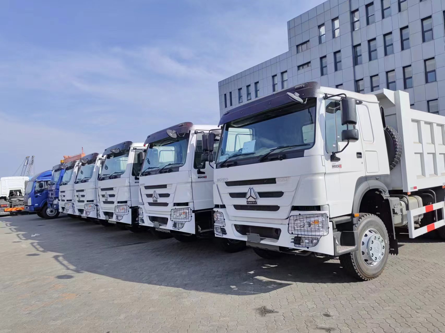Sinotruk Howo 6*4 Tá trucailí dumpála réidh le seachadadh
